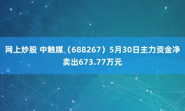 网上炒股 中触媒（688267）5月30日主力资金净卖出673.77万元