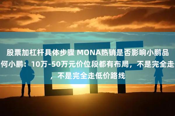 股票加杠杆具体步骤 MONA热销是否影响小鹏品牌向上？何小鹏：10万-50万元价位段都有布局，不是完全走低价路线