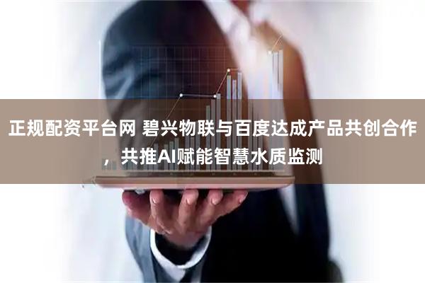 正规配资平台网 碧兴物联与百度达成产品共创合作，共推AI赋能智慧水质监测